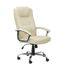 Alphasson Houston Office Chair