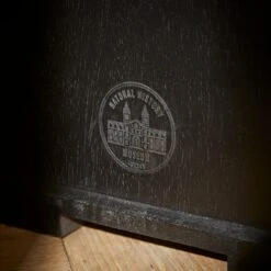 Natural History Museum Small Slim Display Cabinet -Home Furniture 30754174 alt04